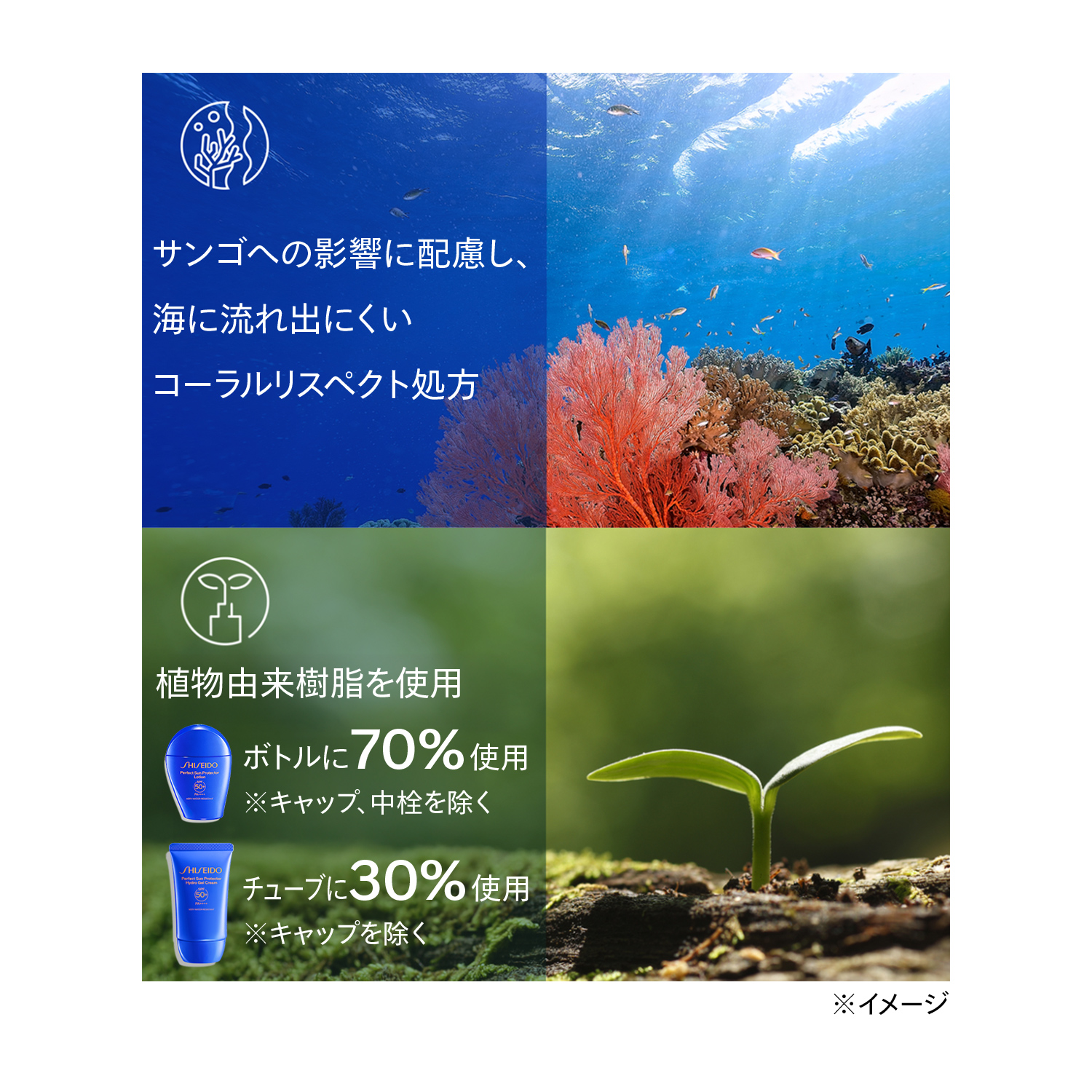 サンケア　パーフェクト　サン　プロテクター　ローション　センシティブ image number 10